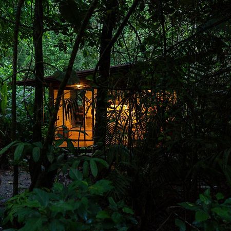 Hamadryade Lodge Puerto Misahuallí Eksteriør bilde