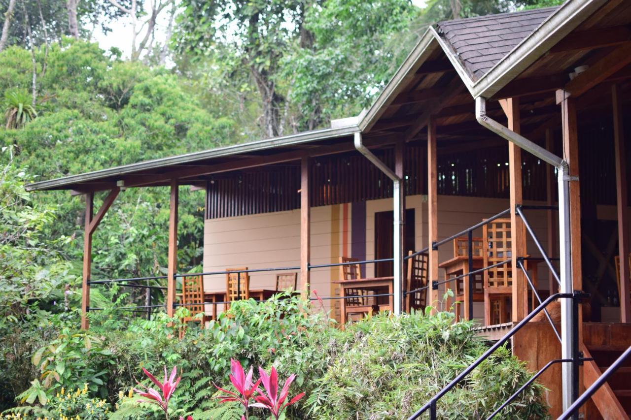Hamadryade Lodge Puerto Misahuallí Eksteriør bilde