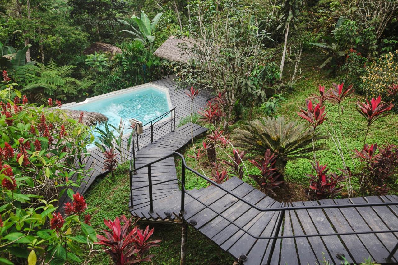 Hamadryade Lodge Puerto Misahuallí Eksteriør bilde