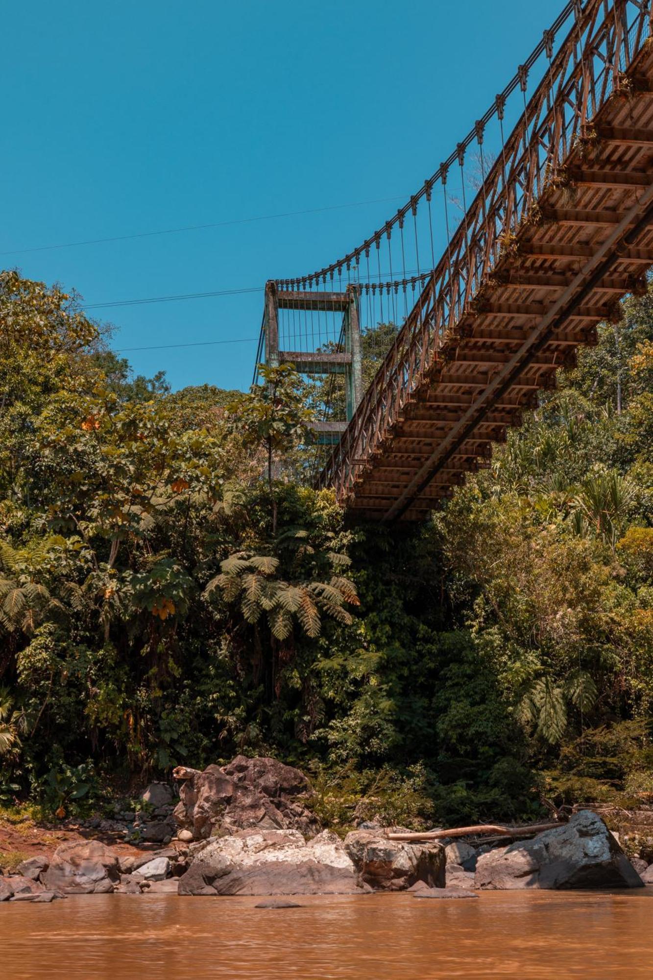 Hamadryade Lodge Puerto Misahuallí Eksteriør bilde
