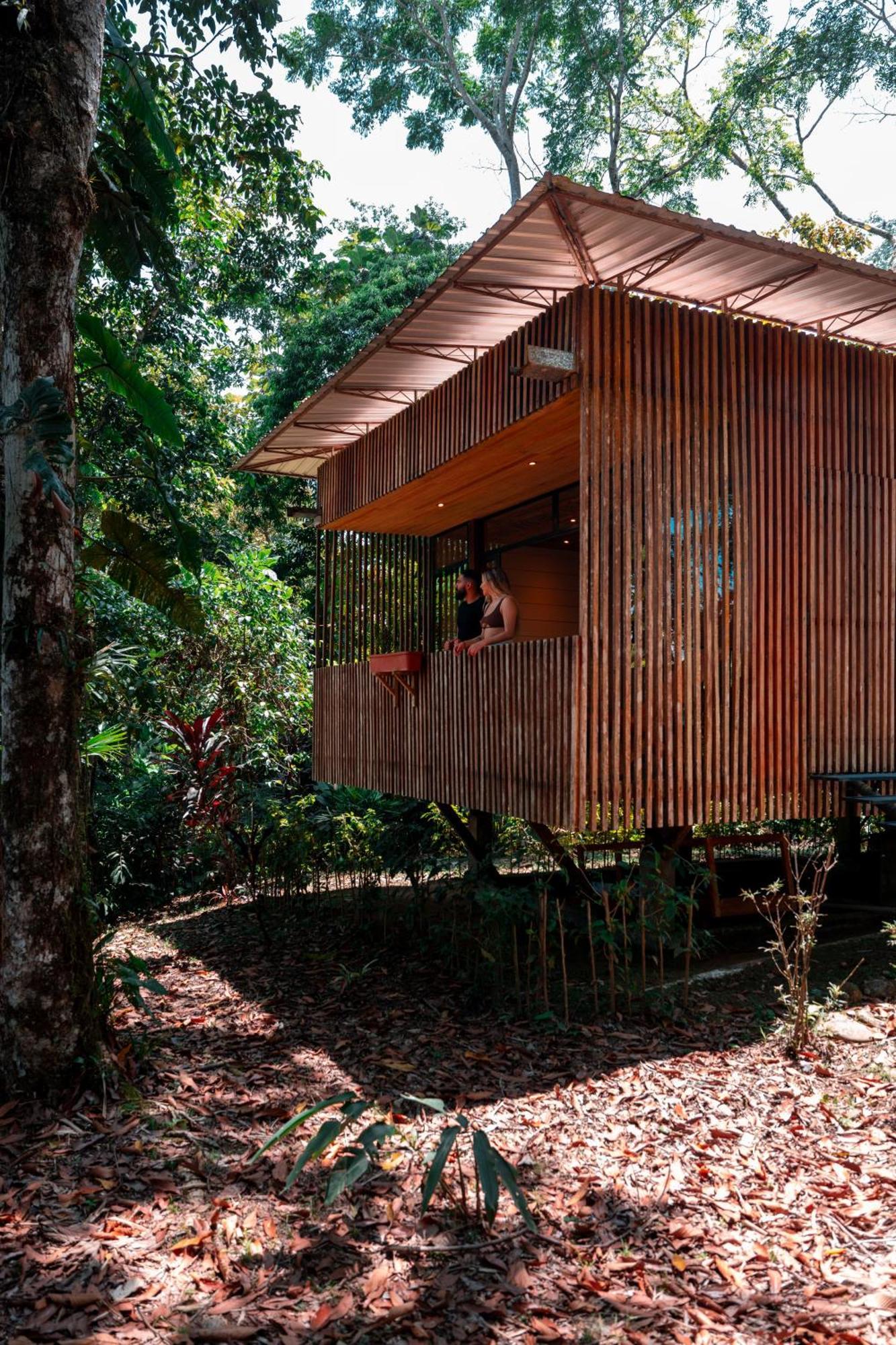Hamadryade Lodge Puerto Misahuallí Eksteriør bilde