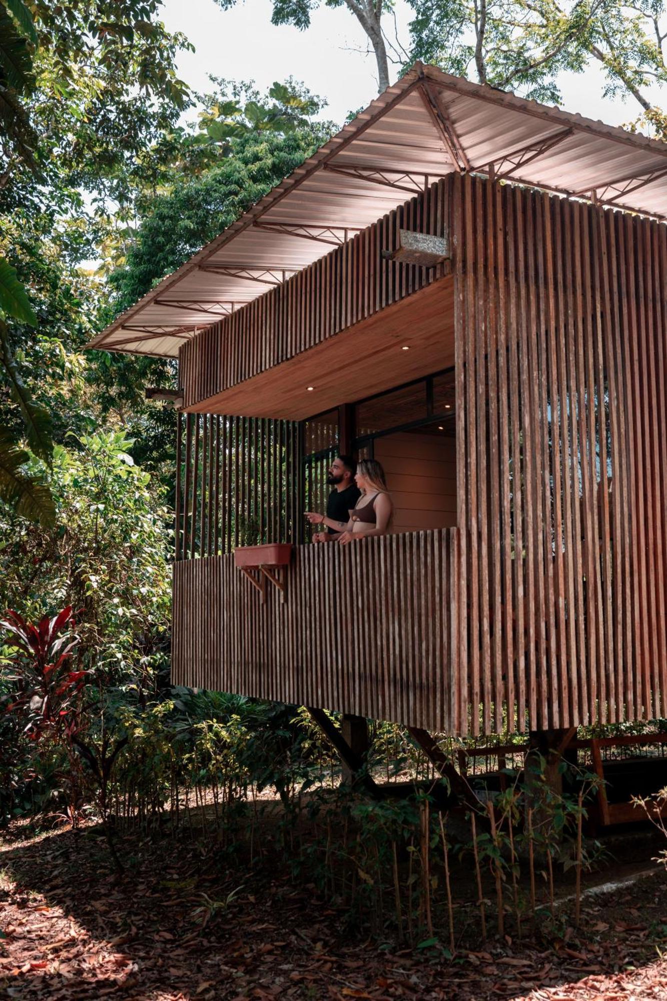 Hamadryade Lodge Puerto Misahuallí Eksteriør bilde