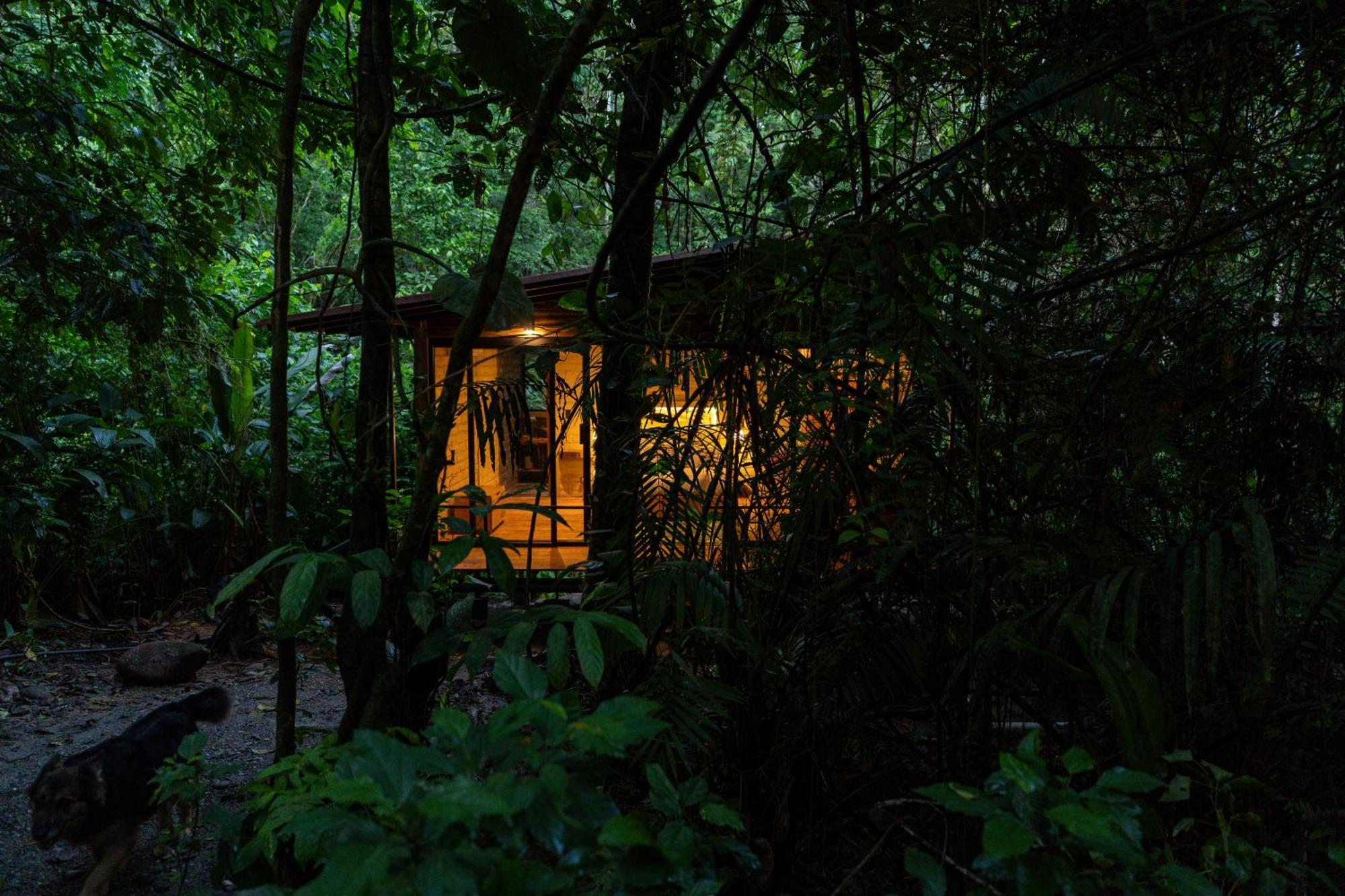 Hamadryade Lodge Puerto Misahuallí Eksteriør bilde